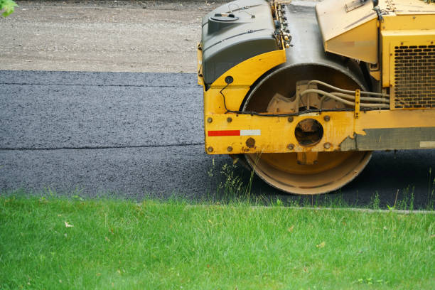 Best Decorative Driveway Pavers  in Paradise Hills, NM