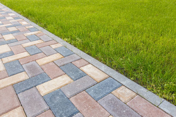 Best Commercial Driveway Pavers  in Paradise Hills, NM